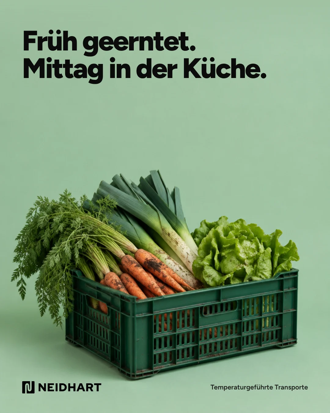 Post: Früh geerntet. Mittag in der Küche. Gemüsekiste auf Grün